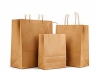 Kraft paper carrier bags with twisted handles