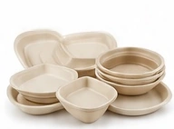 Sugarcane bagasse plates, bowls and trays