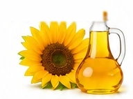 Sunflower beside a jug of sunflower oil